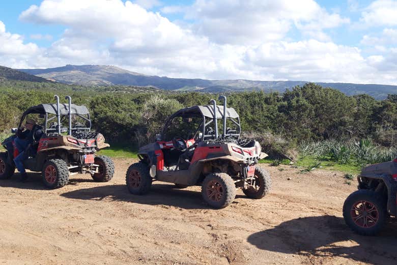 Akamas buggy sales