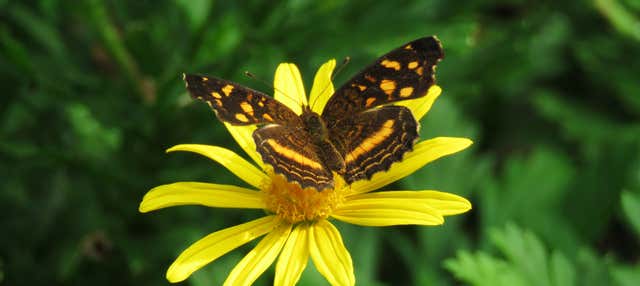 Excursión al Jardín Botánico del Quindío