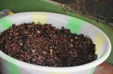 Excursão a Marsella