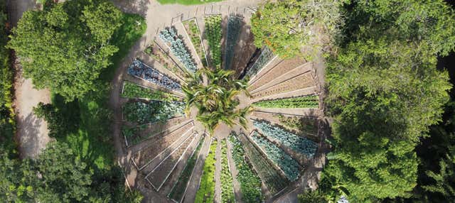 Excursion au Parc Panaca