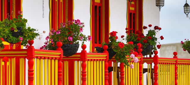 Excursión a Salento y el Valle de Cocora + Paseo a caballo