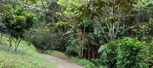 Free tour por el Parque de la Vida