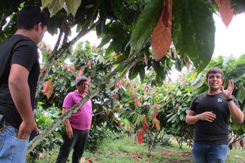 Listening to the guide's explainations