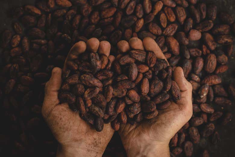 Café típico de Buenavista