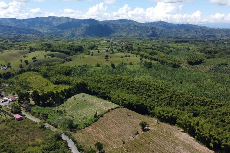 La vegetazione che circonda la città