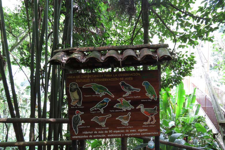 Learning about the local wildlife