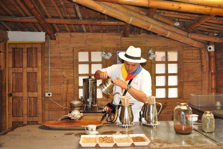 Discovering all about the coffee tradition