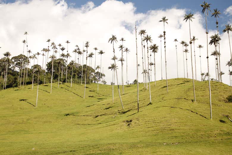 Exploraréis una región llena de belleza natural