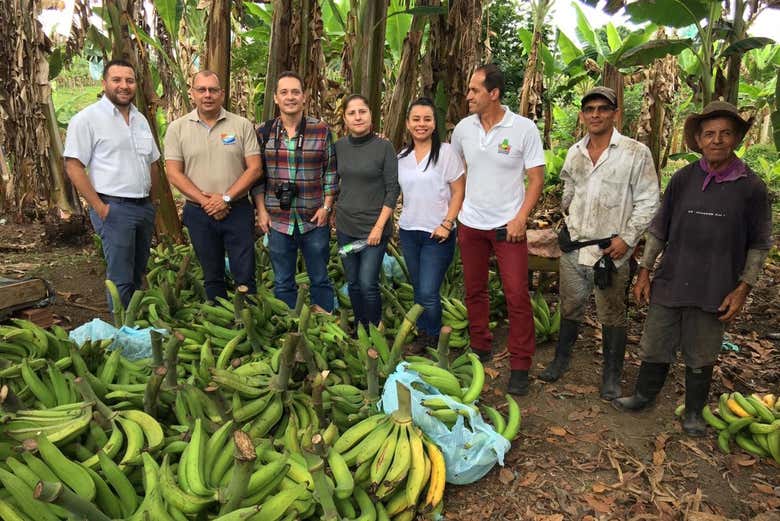 Visiting a banana farm