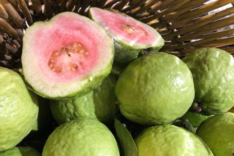 Guayava, una fruta tropical