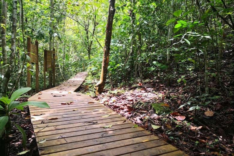 Nature path in El Guásimo