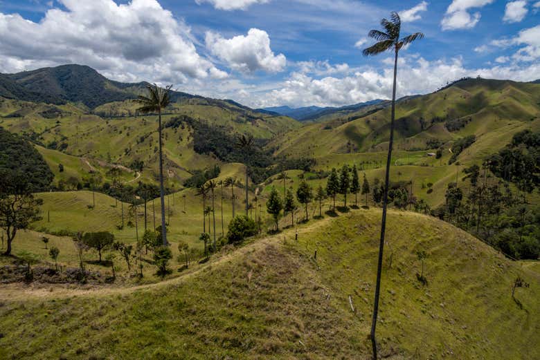 Panorámica del Valle Cocora