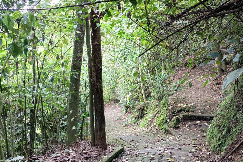 Touring the green lung of Armenia