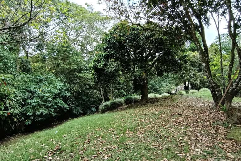 Views of the gardens of Parque de la Vida