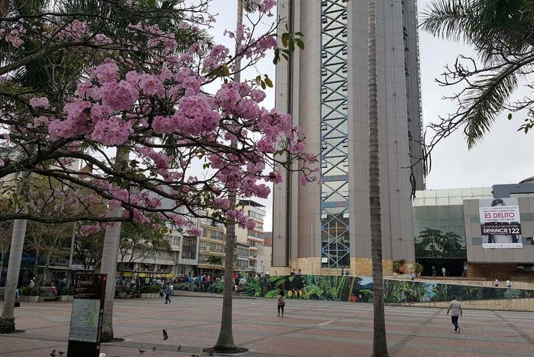 Plaza en el centro de Armenia