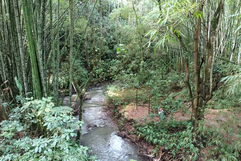 A river in Parque de la Vida