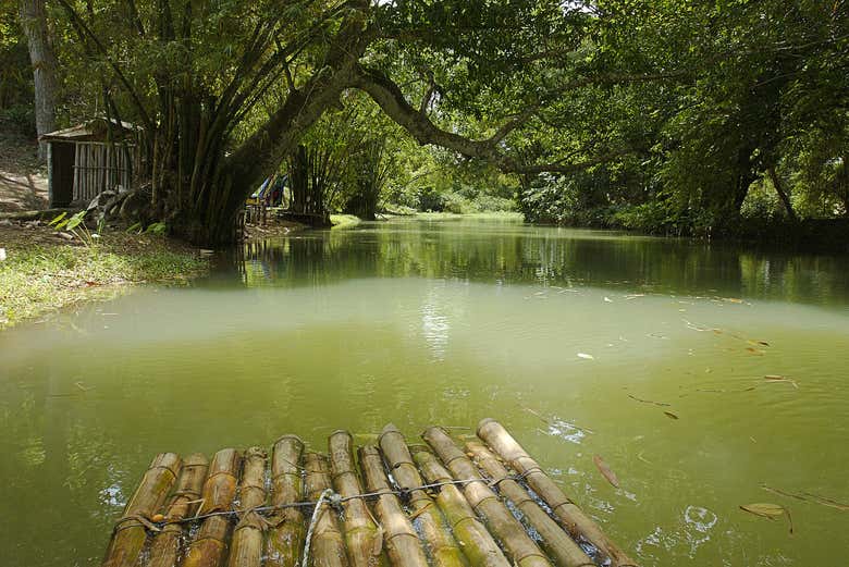Obserbing nature from the raft