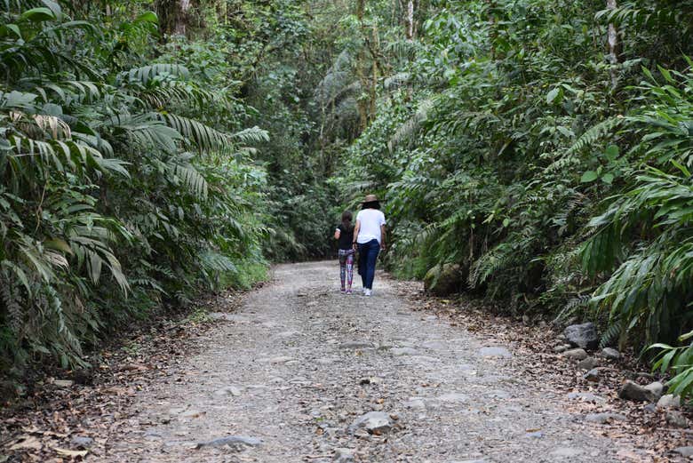 Hiking at Otún Quimbaya