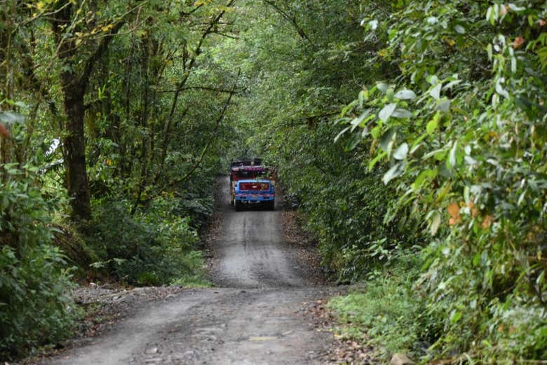 Exploring the sanctuary