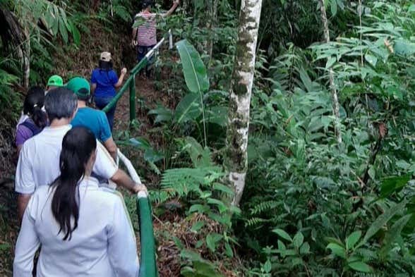 Visitando las plantaciones en Guática