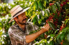 Ruta de Café con aroma de mujer en 8 días por el Eje Cafetero