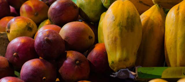 Tour da fruta colombiana