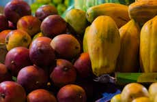 Tour de la fruta colombiana