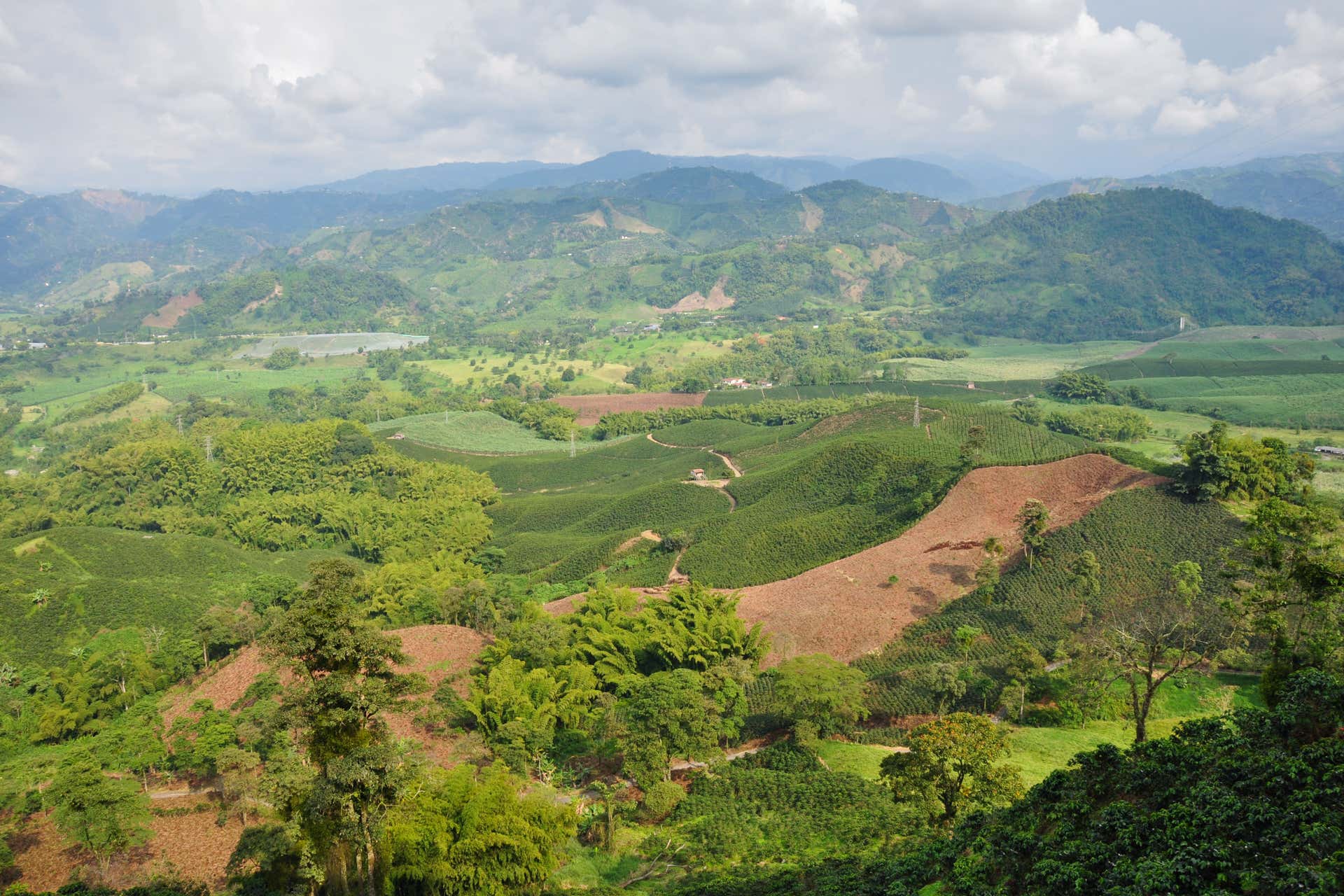 Voo privado de parapente sobre o Eixo Cafeeiro