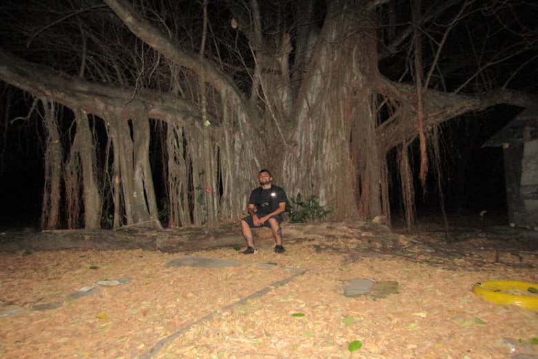 Disfrutando del tour nocturno