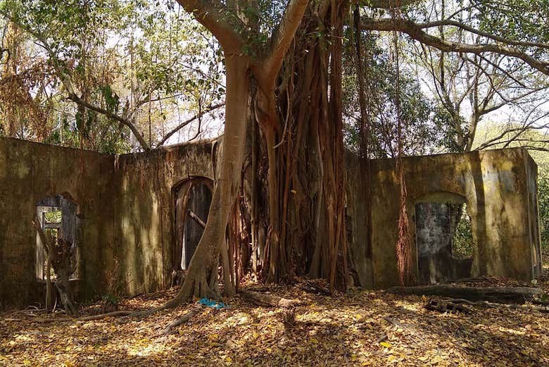 Visita guiada por Armero