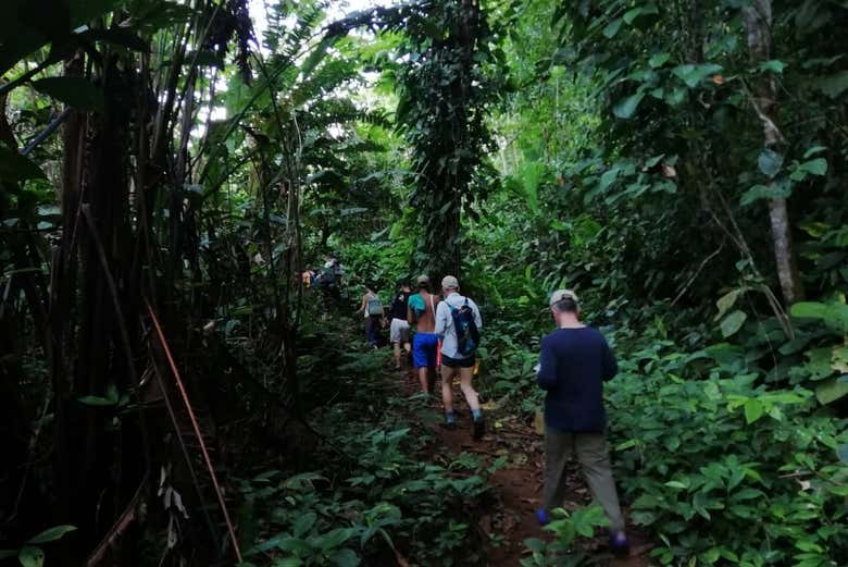 Trilha nos arredores do rio