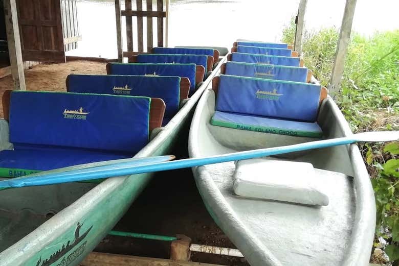 Canoas para a atividade