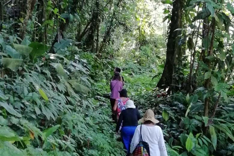 Chegando às margens do rio