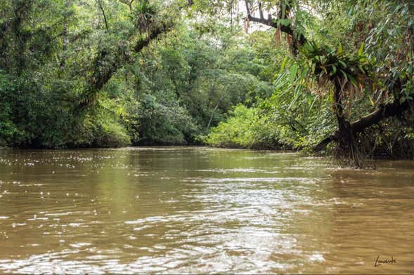 Passeio de canoa pelo rio Tundó