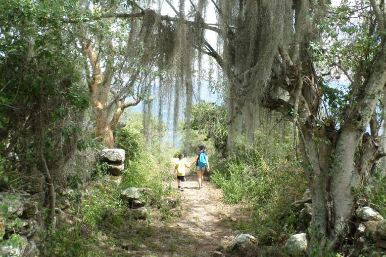 Parcourez le Camino Real en famille