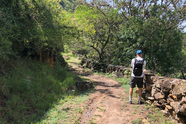 Randonnée sur le Camino Real