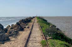Excursión a Bocas de Ceniza