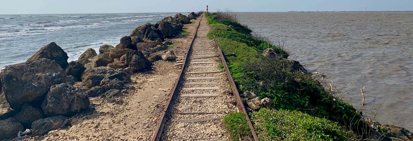 Excursiones de un día en Barranquilla