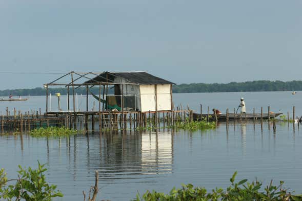 Excursão a Ciénaga