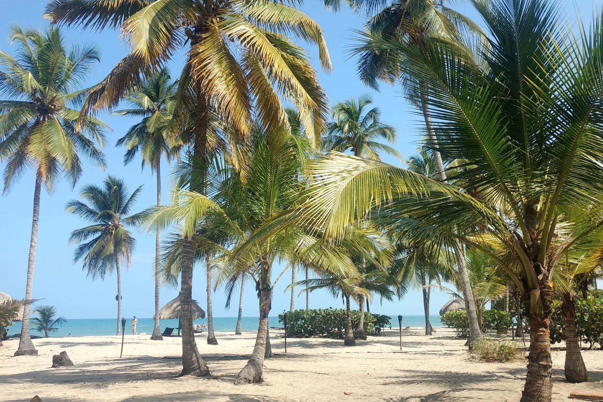 Escursione a Palomino da Barranquilla