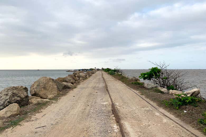 Bocas de Ceniza