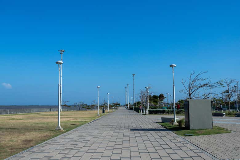 See the Gran Malecón del Río