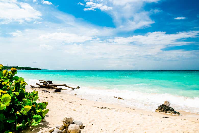 Relax under the sun