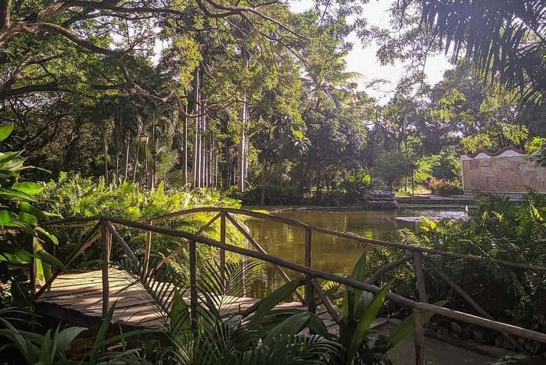 Paseando por los parques de Santa Marta