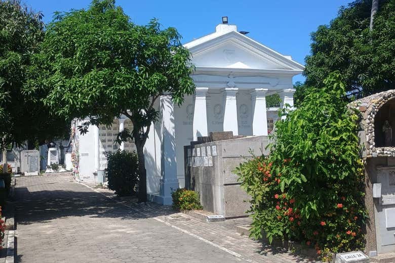 Entre caminhos carregados de memória