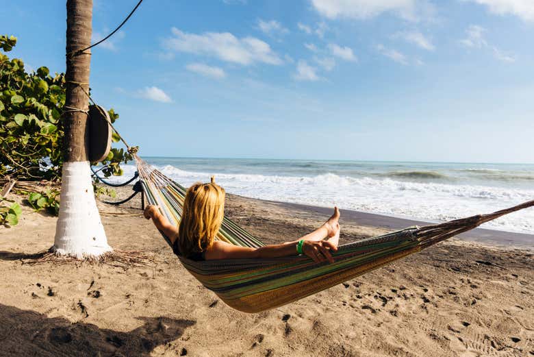 Disfrutando de la tranquilidad de Palomino