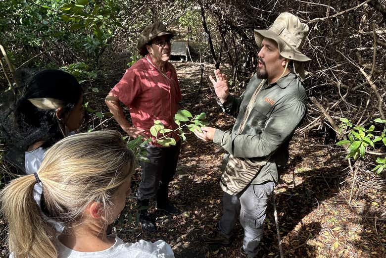 Conoceréis cómo funciona un bosque seco tropical