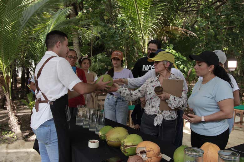 Durante la cata de coco