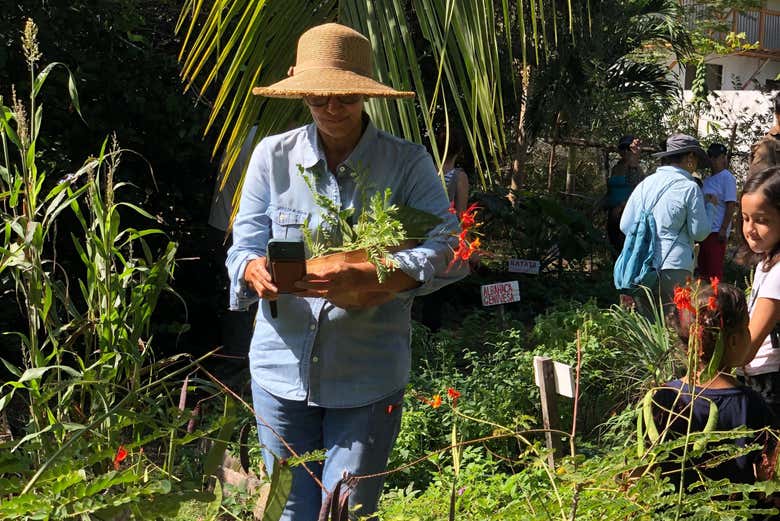 Observando las plantas en la huerta 