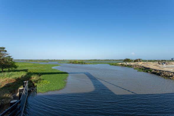 Paseo en barco por el río Magdalena